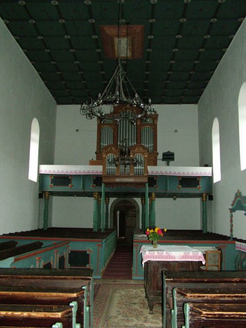 Tarpa 24